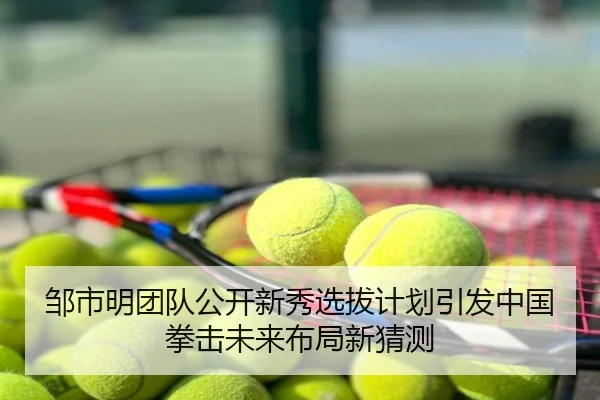 邹市明团队公开新秀选拔计划引发中国拳击未来布局新猜测