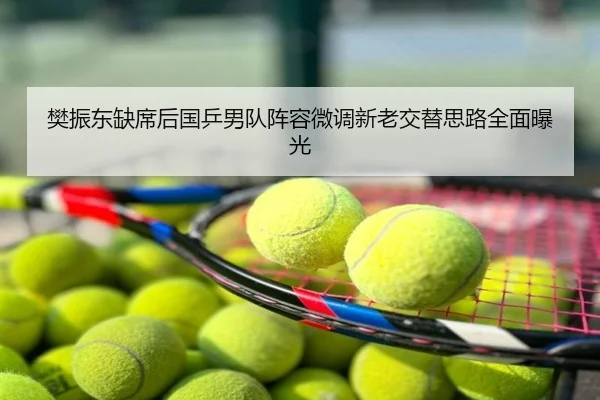 樊振东缺席后国乒男队阵容微调新老交替思路全面曝光